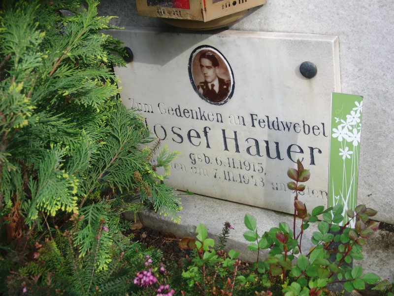Hauer