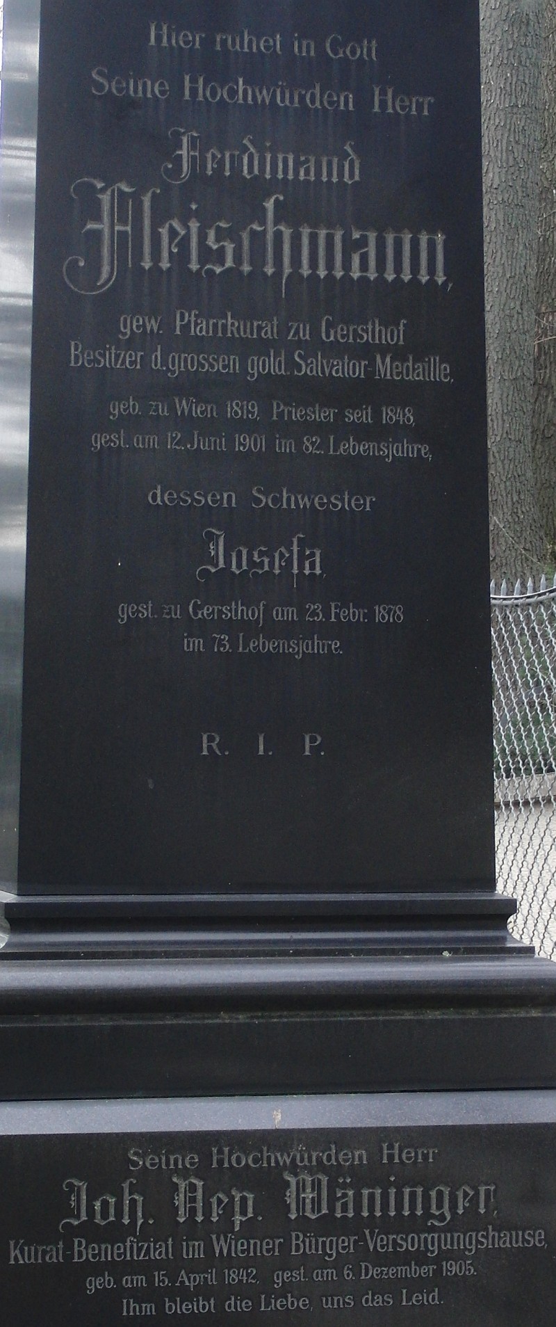 Fleischmann; Wäninger