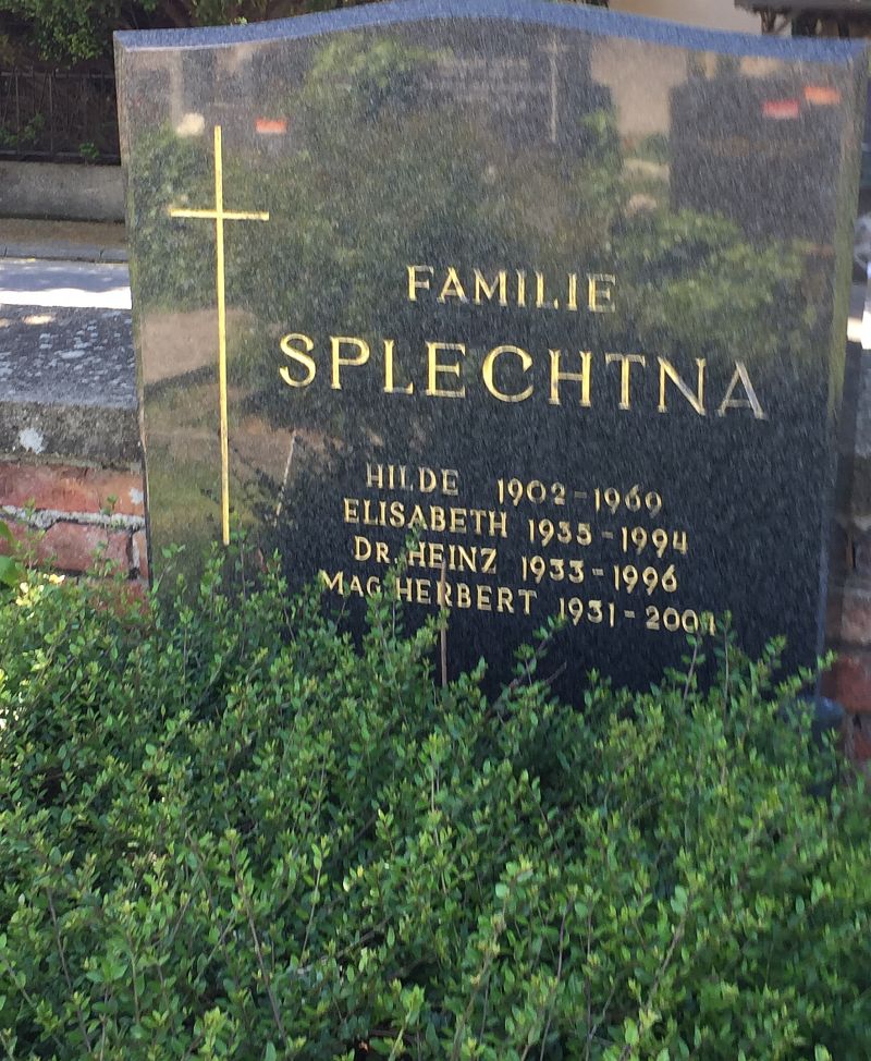Splechtna