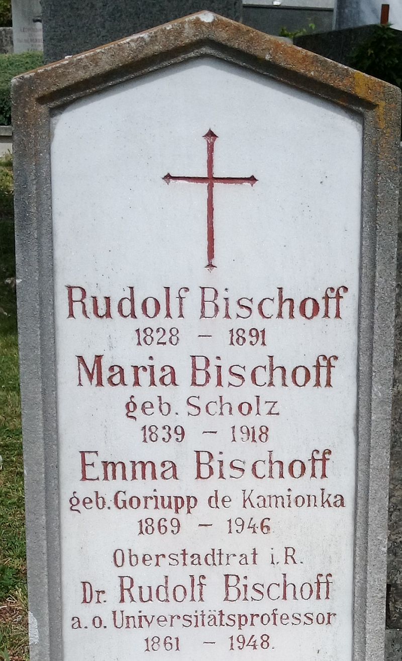 Bischoff; Scholz; Goriupp de Kamionka