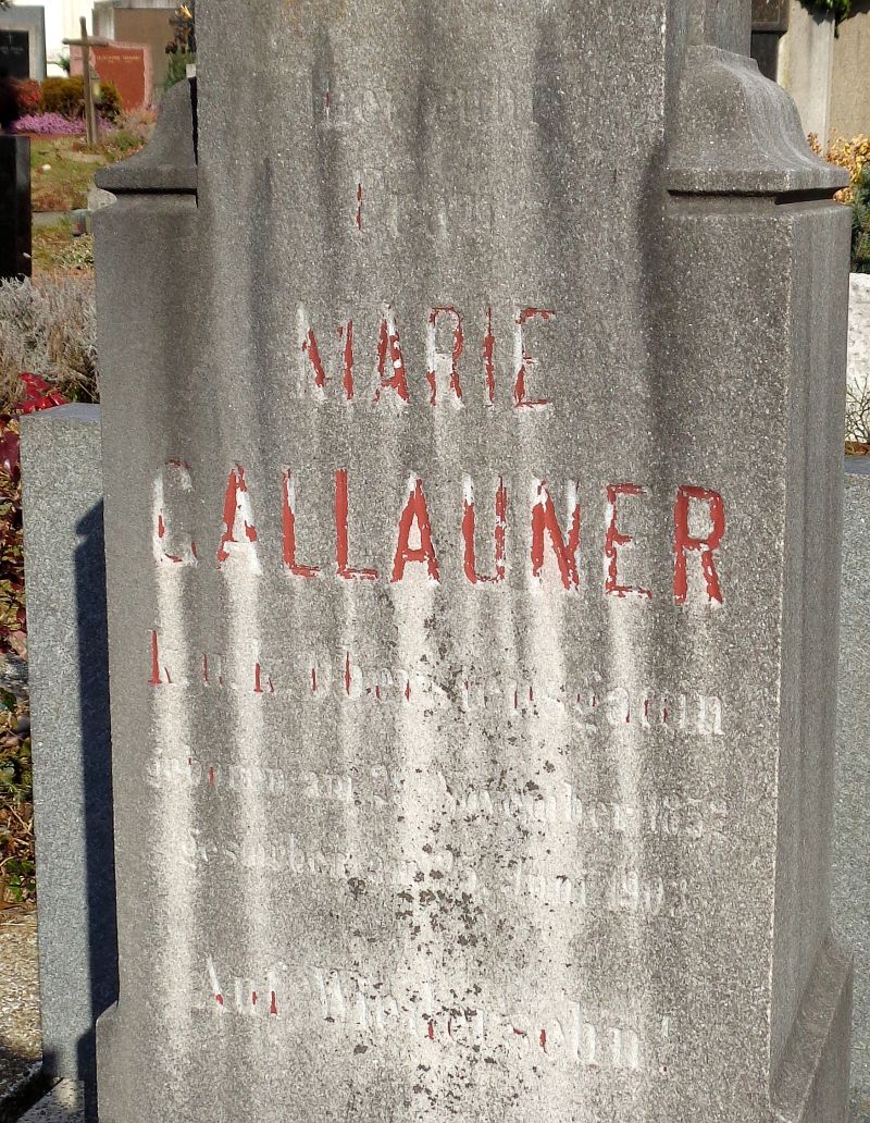Gallauner; Schmidt