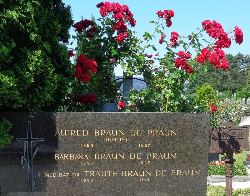 Braun de Praun
