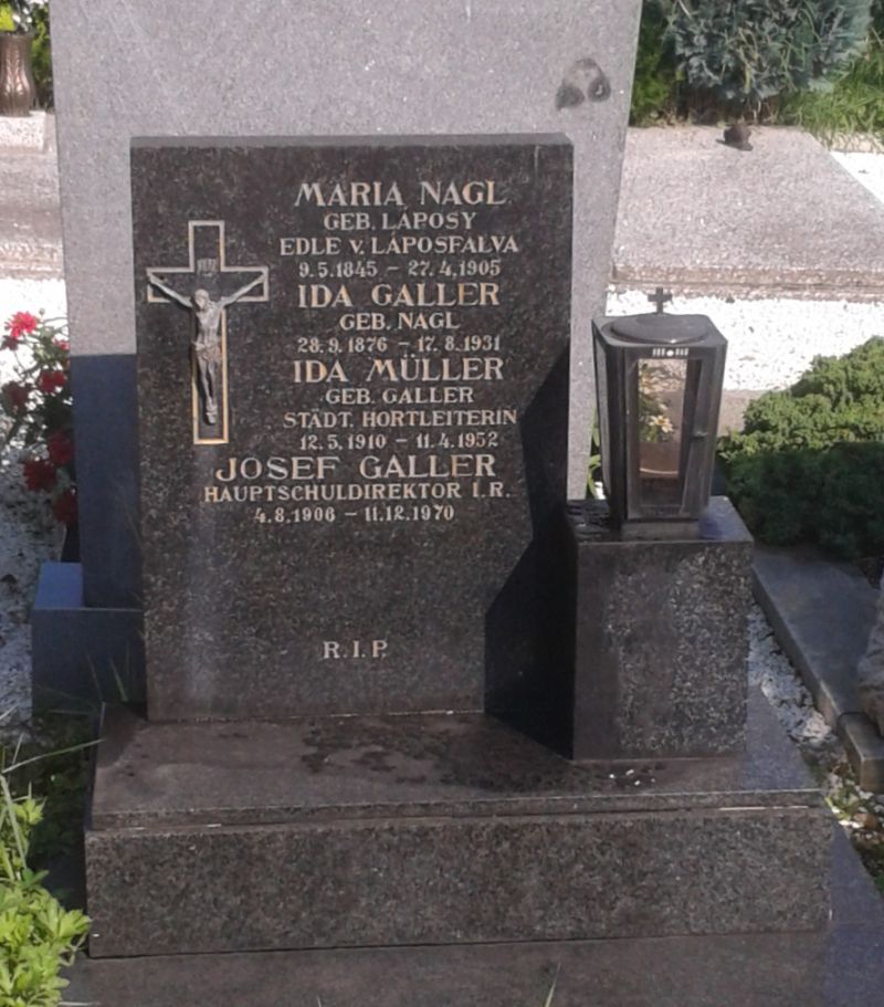 Galler; Laposy de Laposfalva; Müller; Nagl