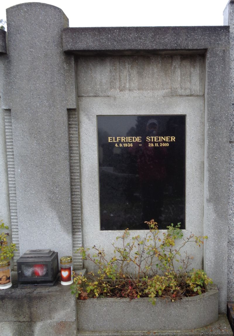 Steiner (3)
