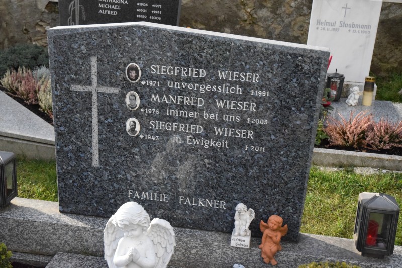 Wieser; Falkner