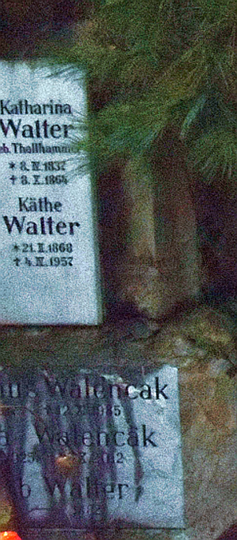 Walter; Thalhammer; Walencak