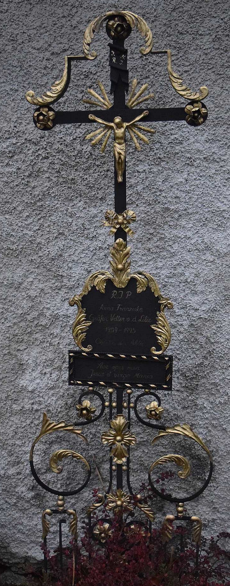 Vetter von der Lilie