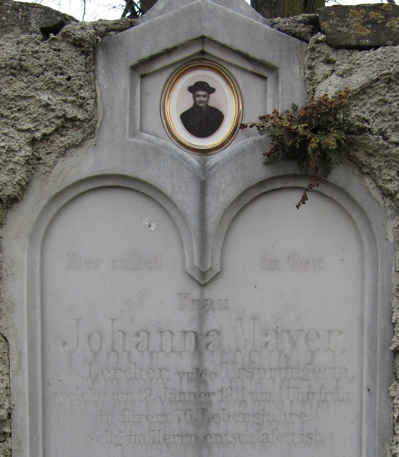 Mayer