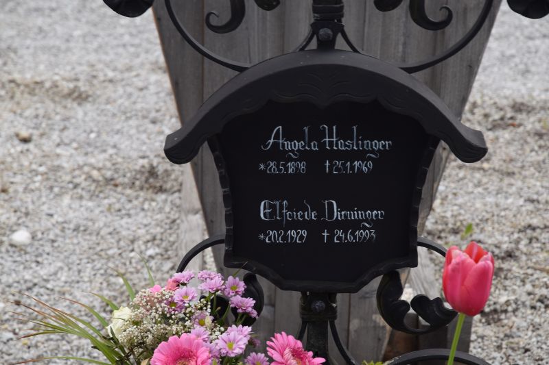 Haslinger; Dirninger