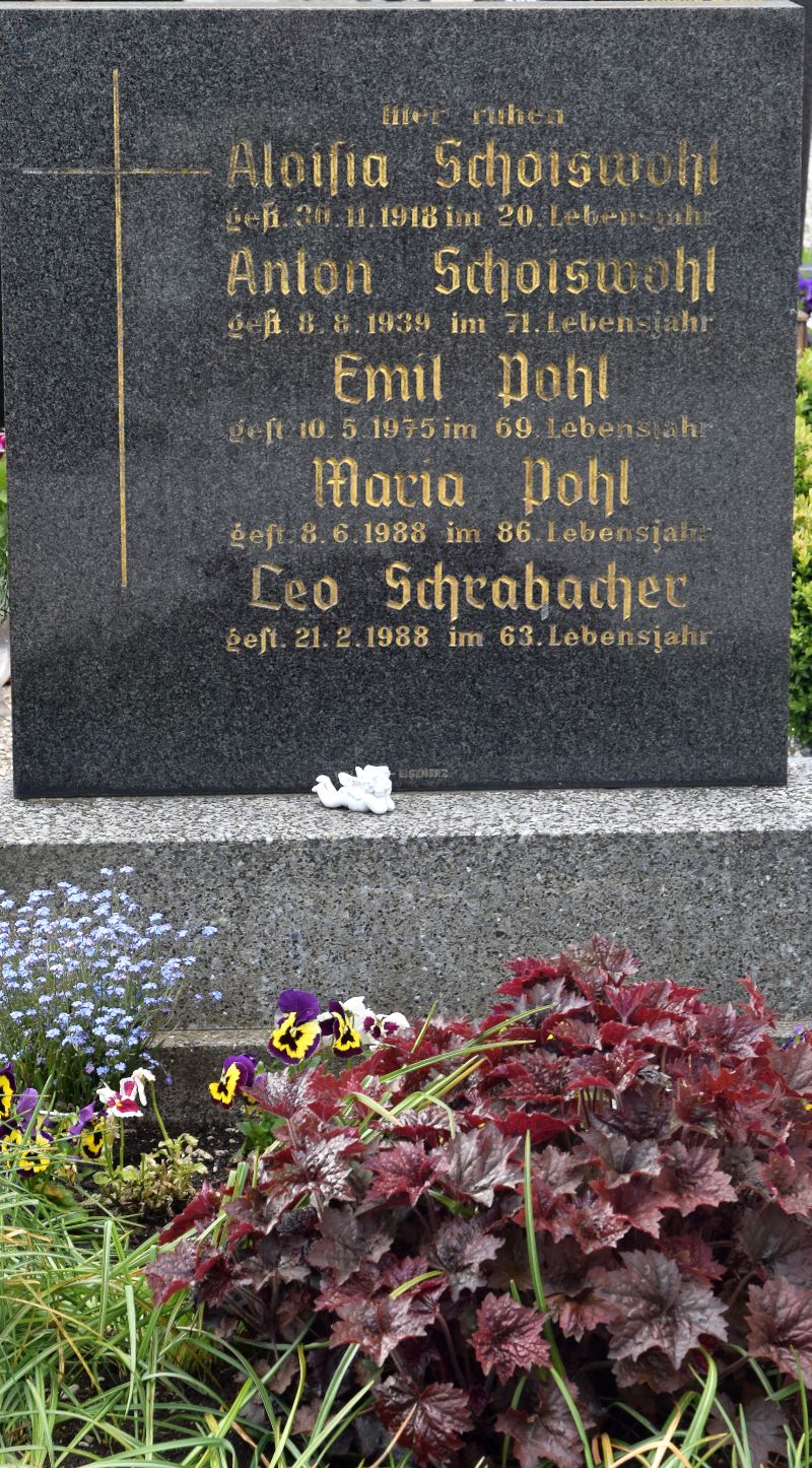 Schoiswohl; Pohl; Schrabacher