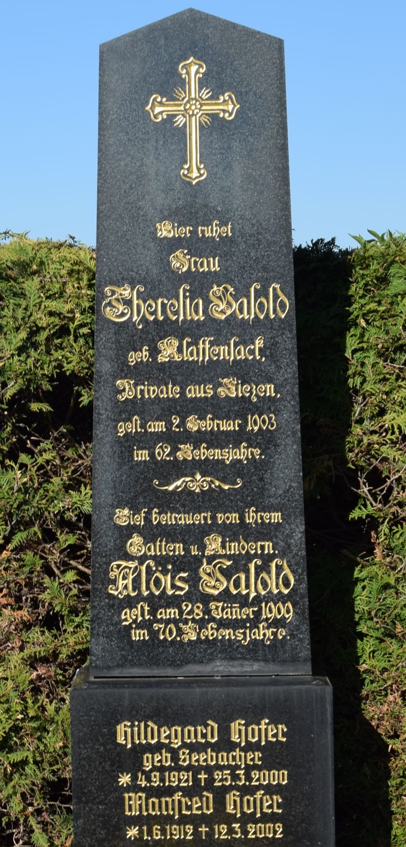 Hofer; Vasold; Klaffensack; Seebacher