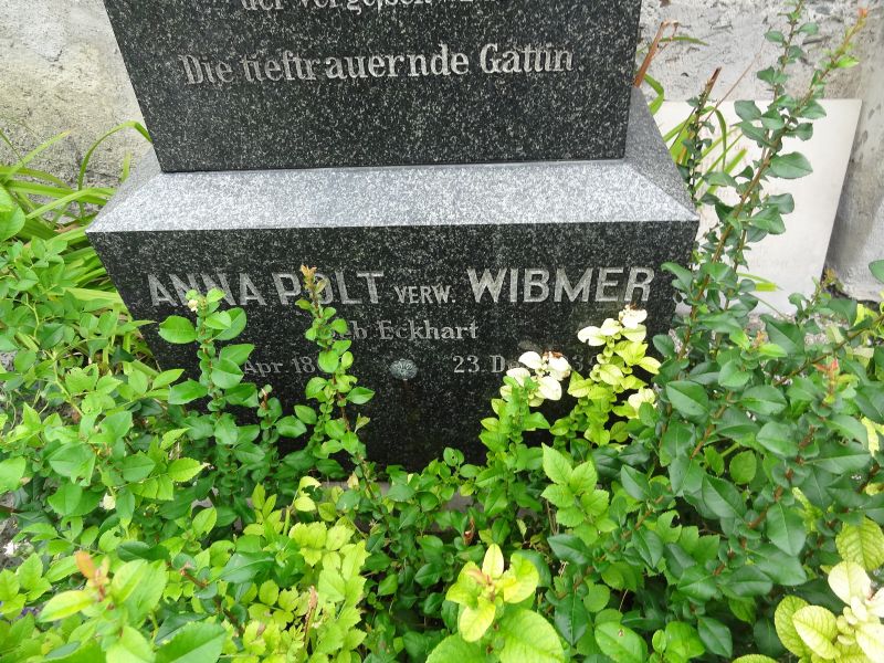 Polt; Wibmer; Eckhart