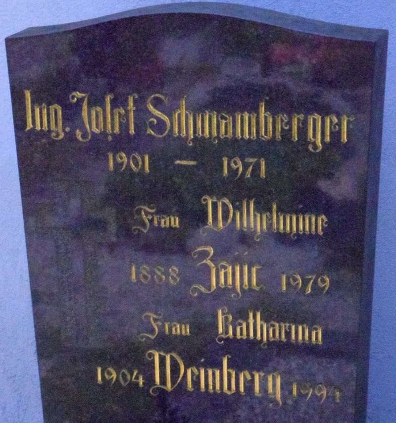 Schwamberger; Zajic; Weinberg