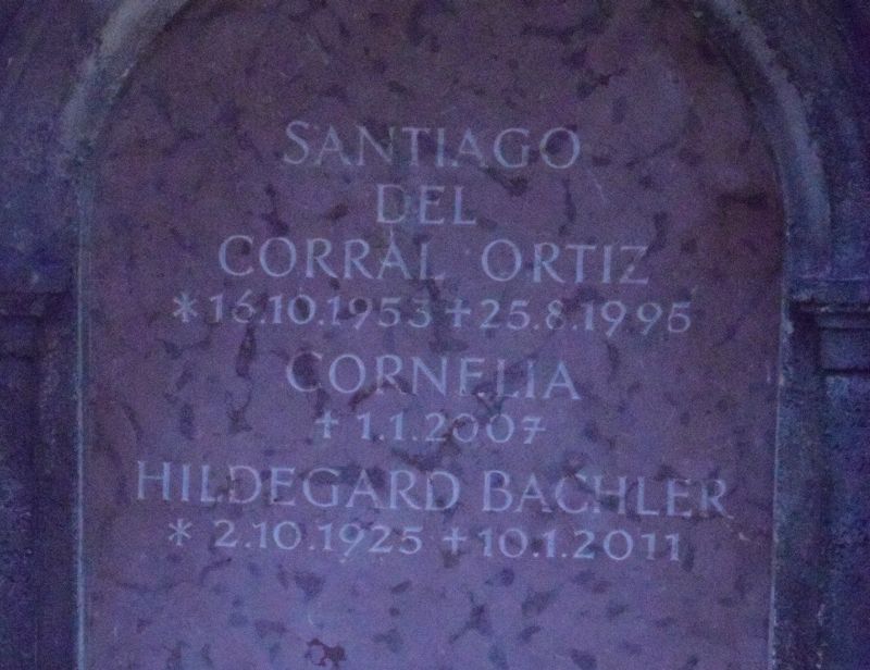 del Corral Ortiz; Bachler