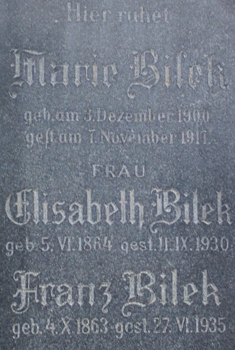 Bilek