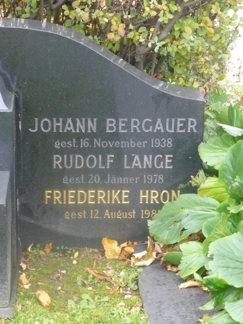 Lange; Hron; Bergauer