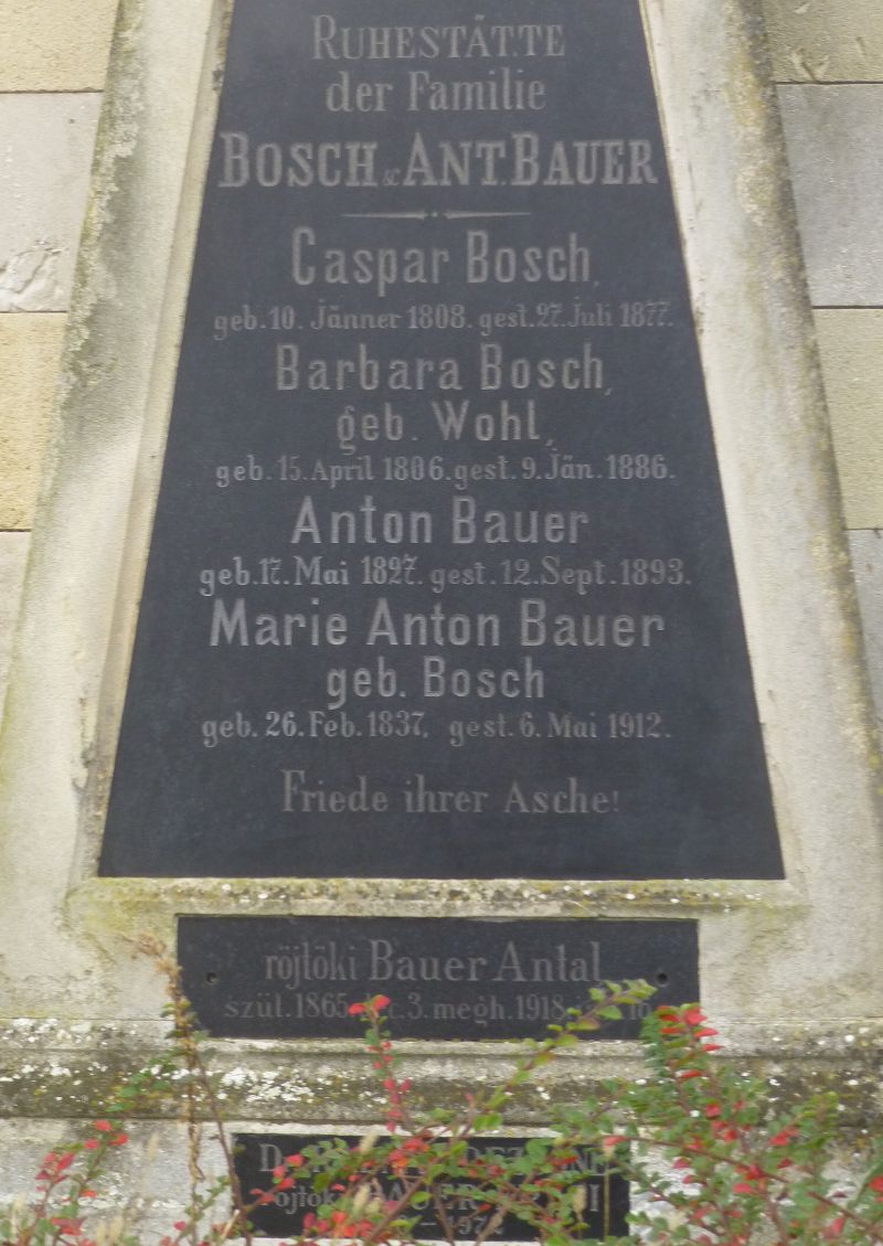 Bauer; Bosch; Wohl