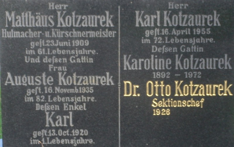 Kotzaurek