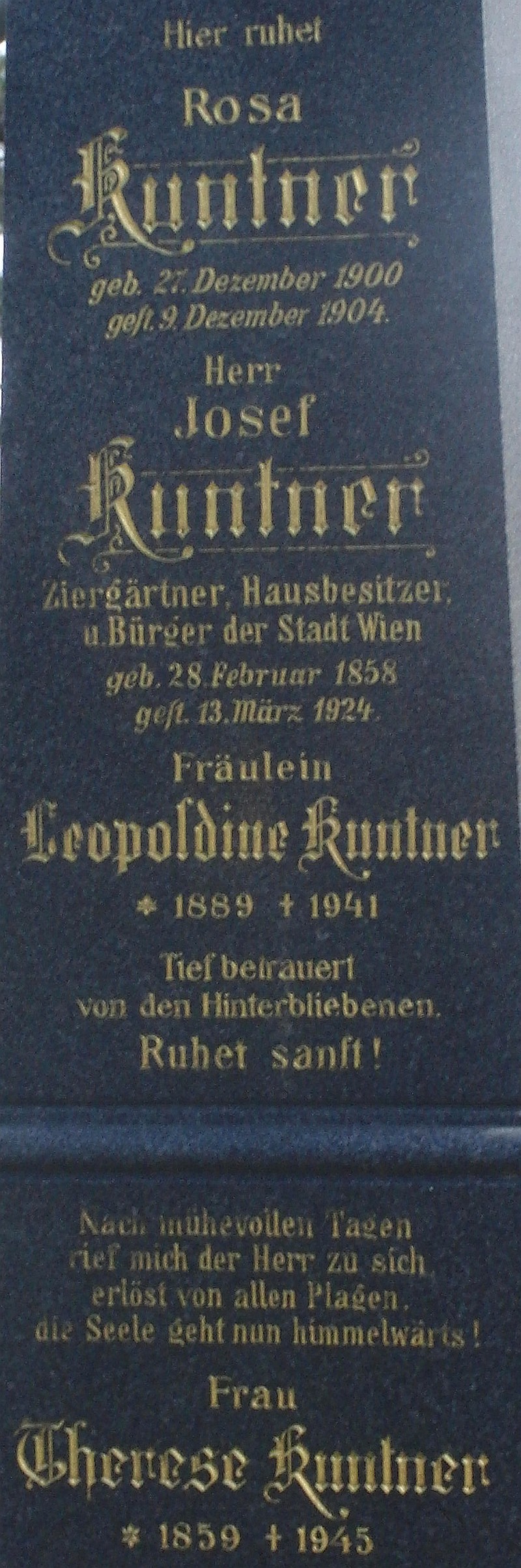 Kuntner
