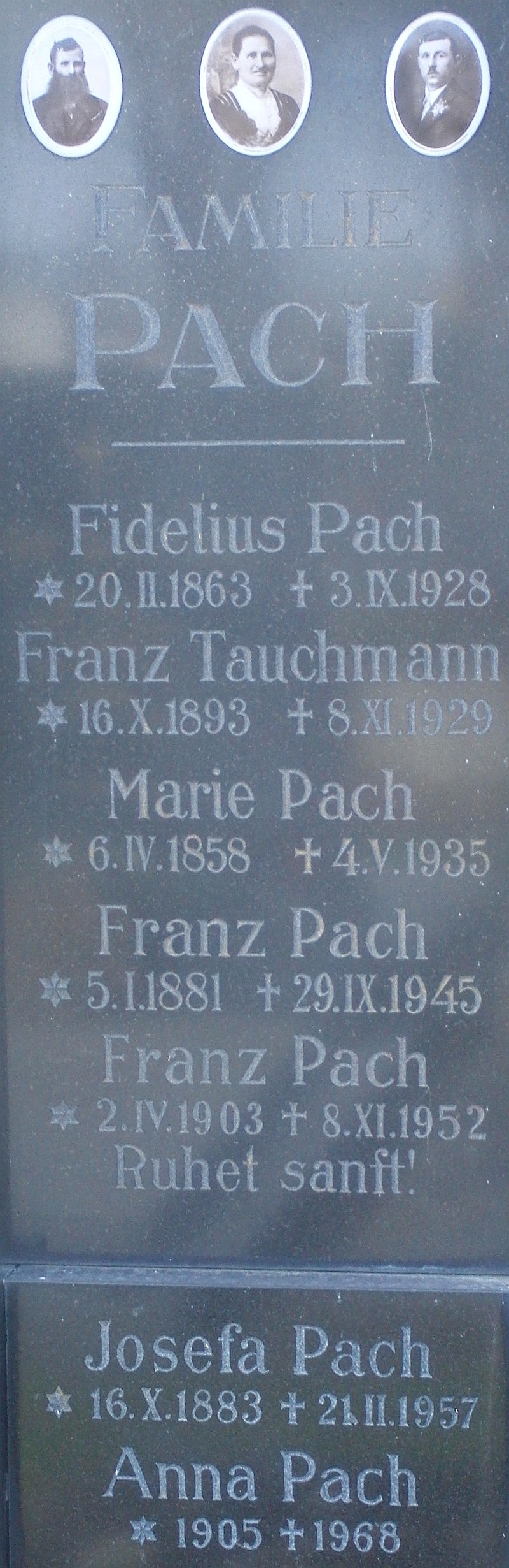Pach; Tauchmann