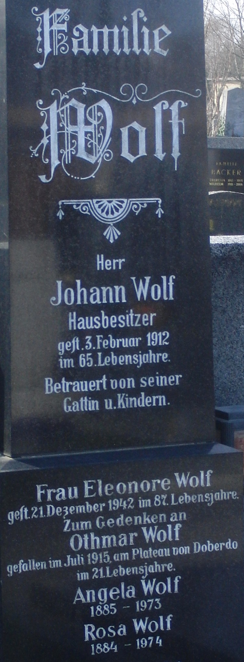 Wolf