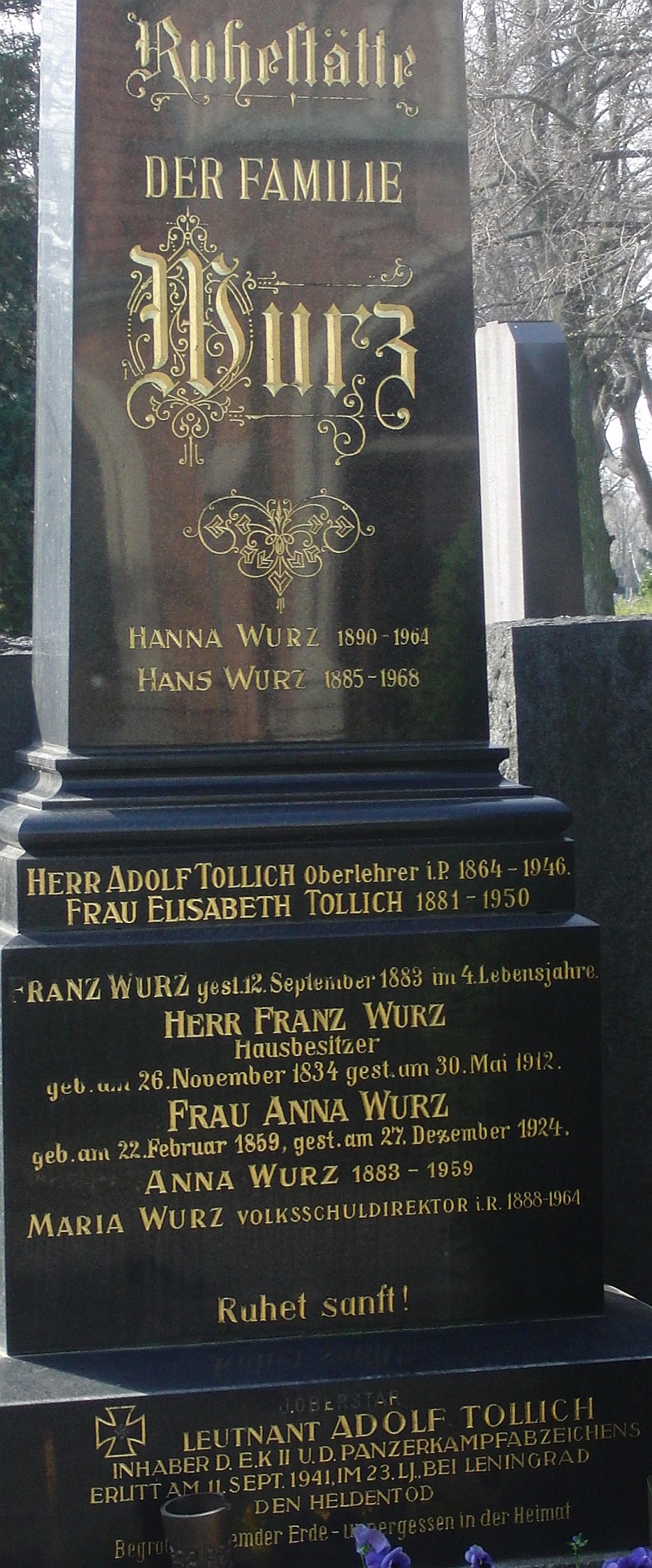 Wurz; Tollich