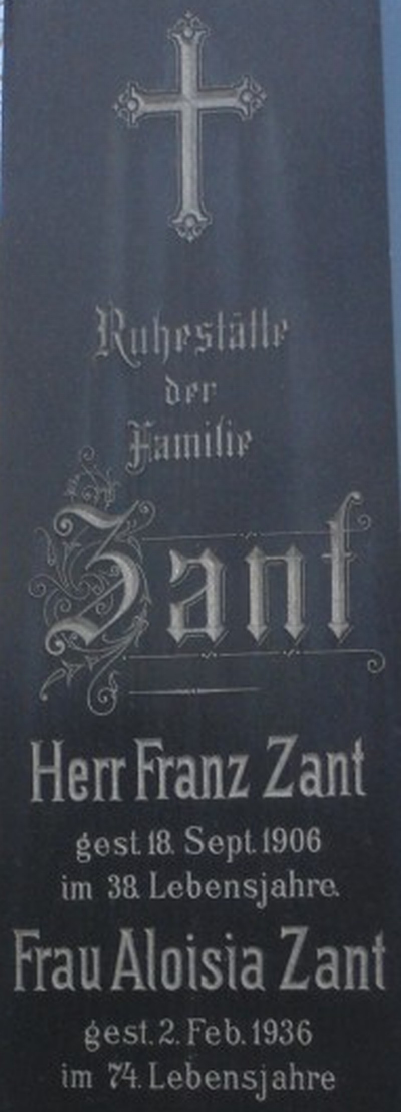 Zant