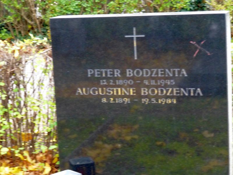 Bodzenta