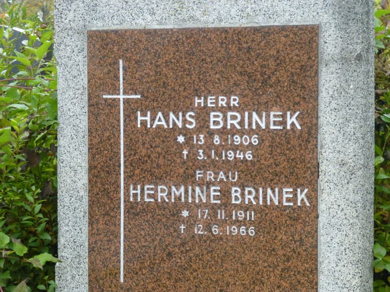Brinek
