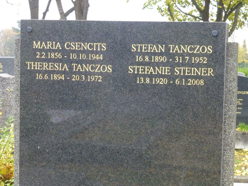 Csencits; Tanczos; Steiner