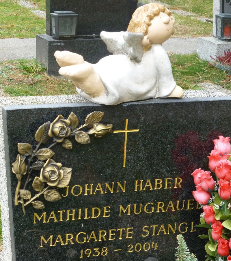Haber; Mugrauer; Stangl