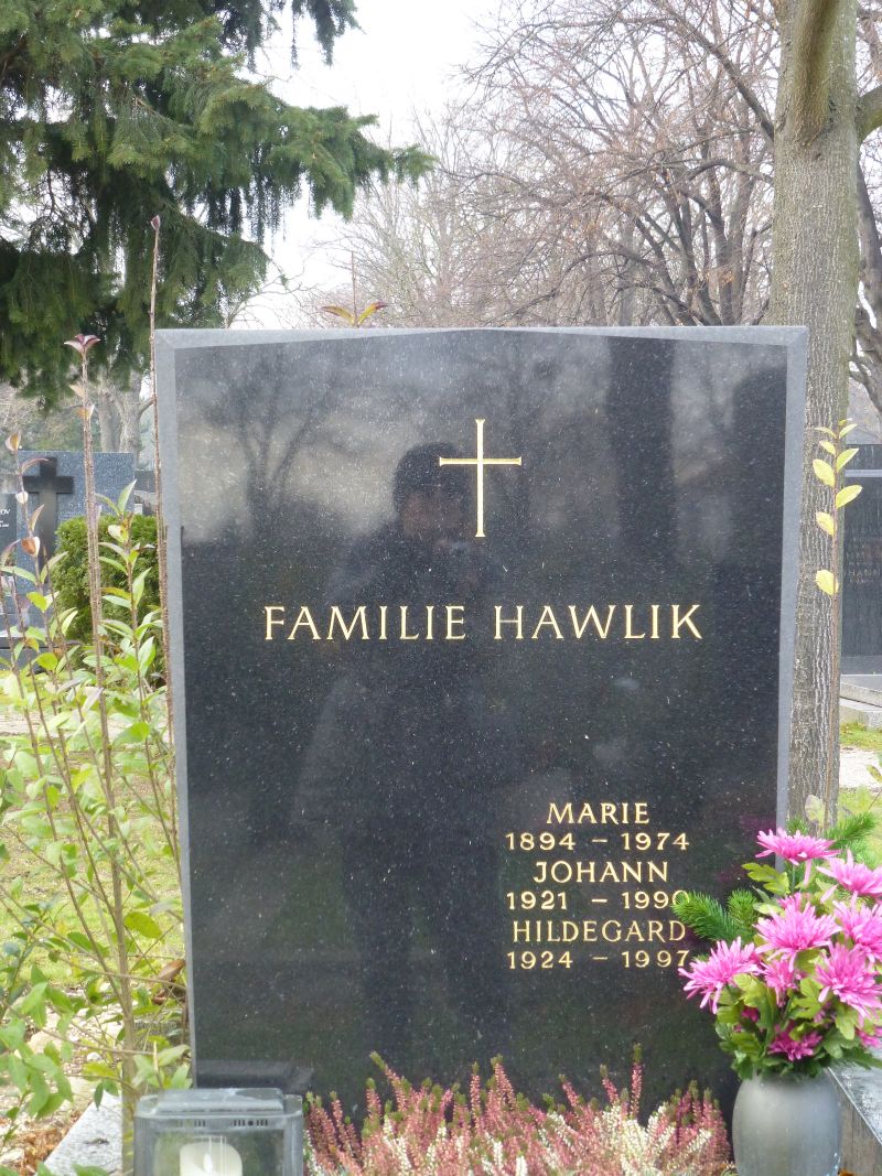Hawlik