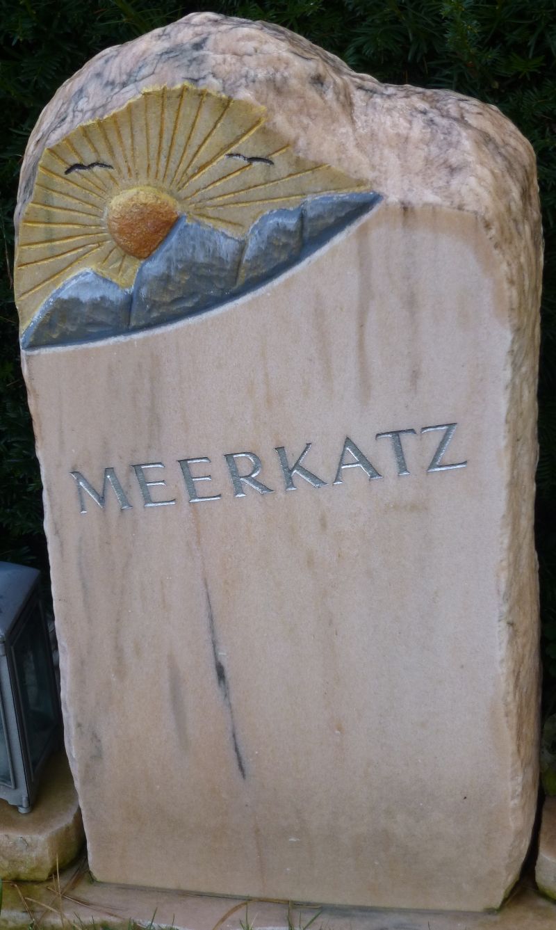 Meerkatz