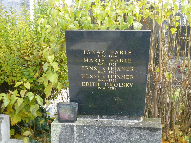 Okolsky; von Leixner; Hable