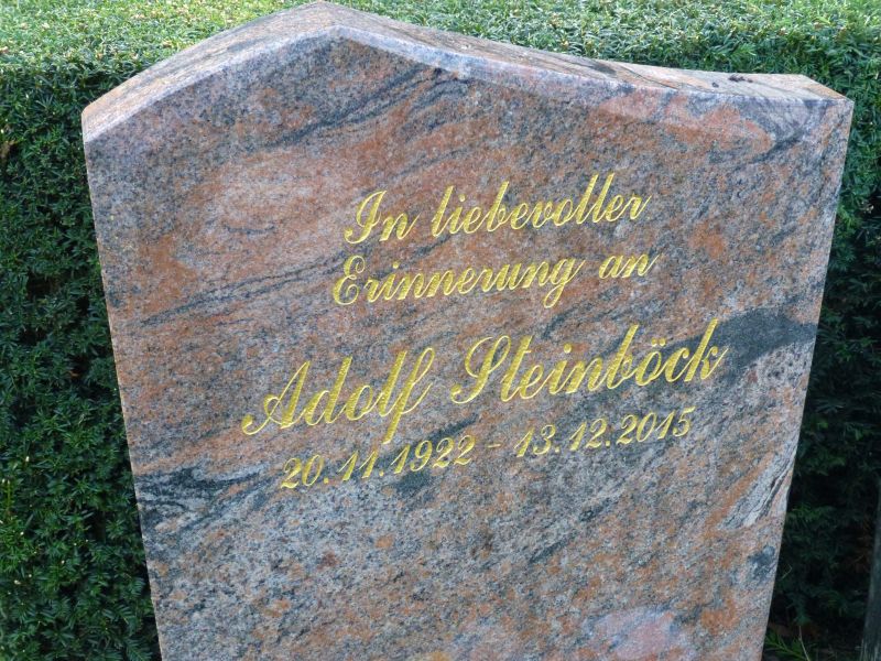Steinböck
