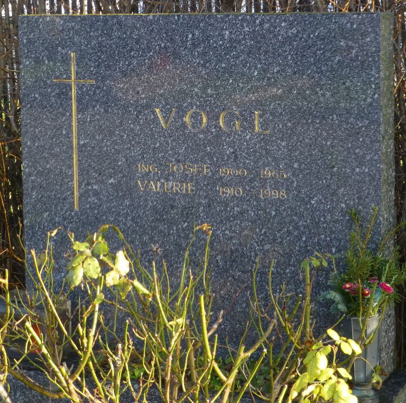 Vogl