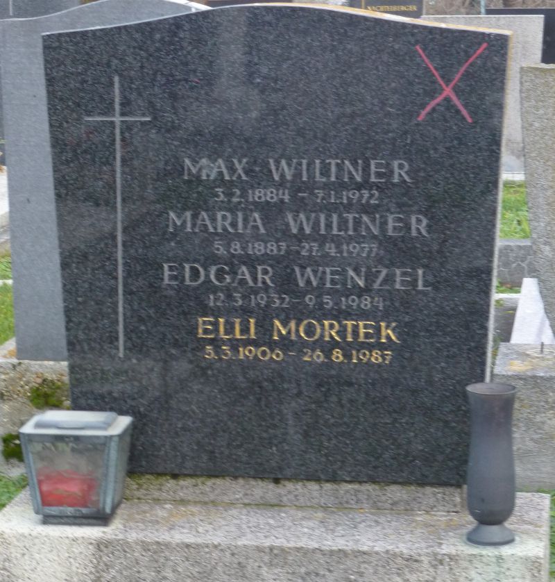 Wiltner; Wenzel; Mortek
