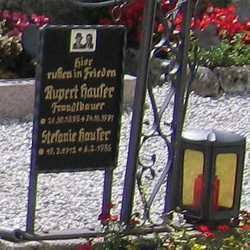Hauser