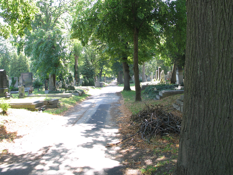 Friedhofsblick