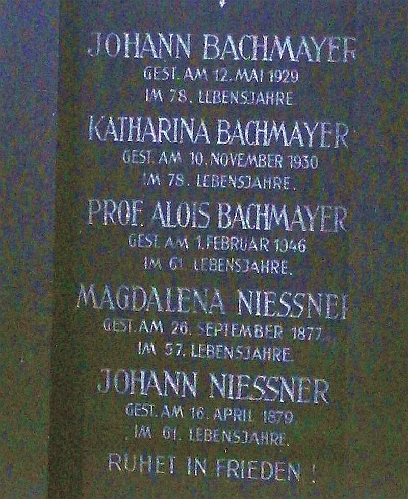 Bachmayer; Niessner