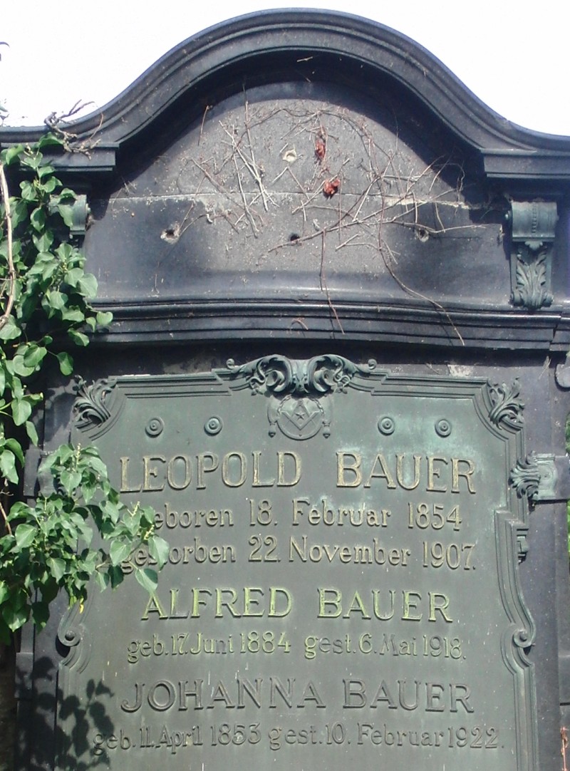 Bauer