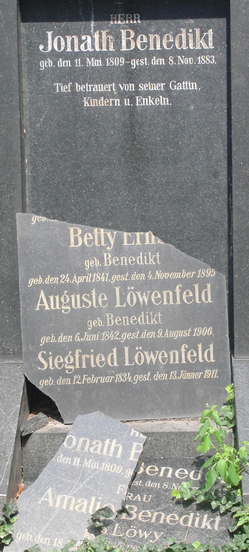 Benedikt; Löwenfeld; Löwenfeld geb. Benedikt; Benedikt geb. Löwy
