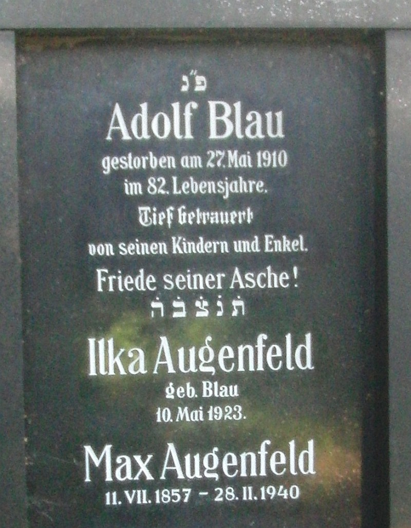 Blau; Augenfeld; Augenfeld geb. Blau