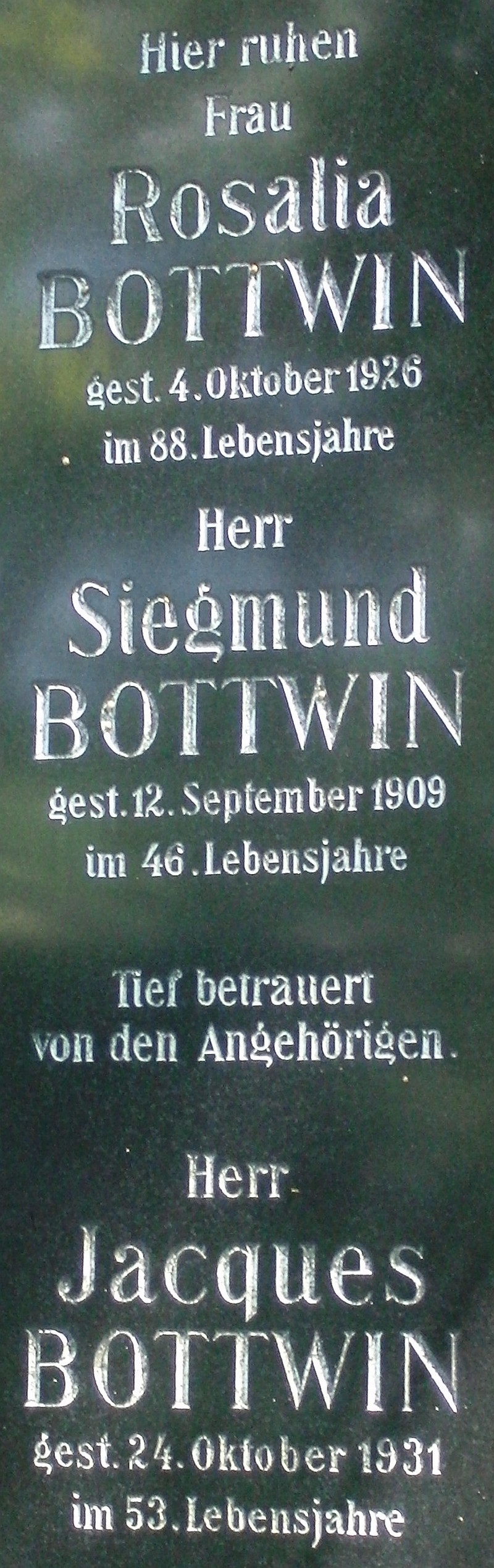 Bottwin