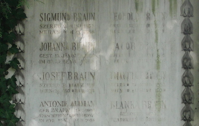 Braun; Altman geb. Braun