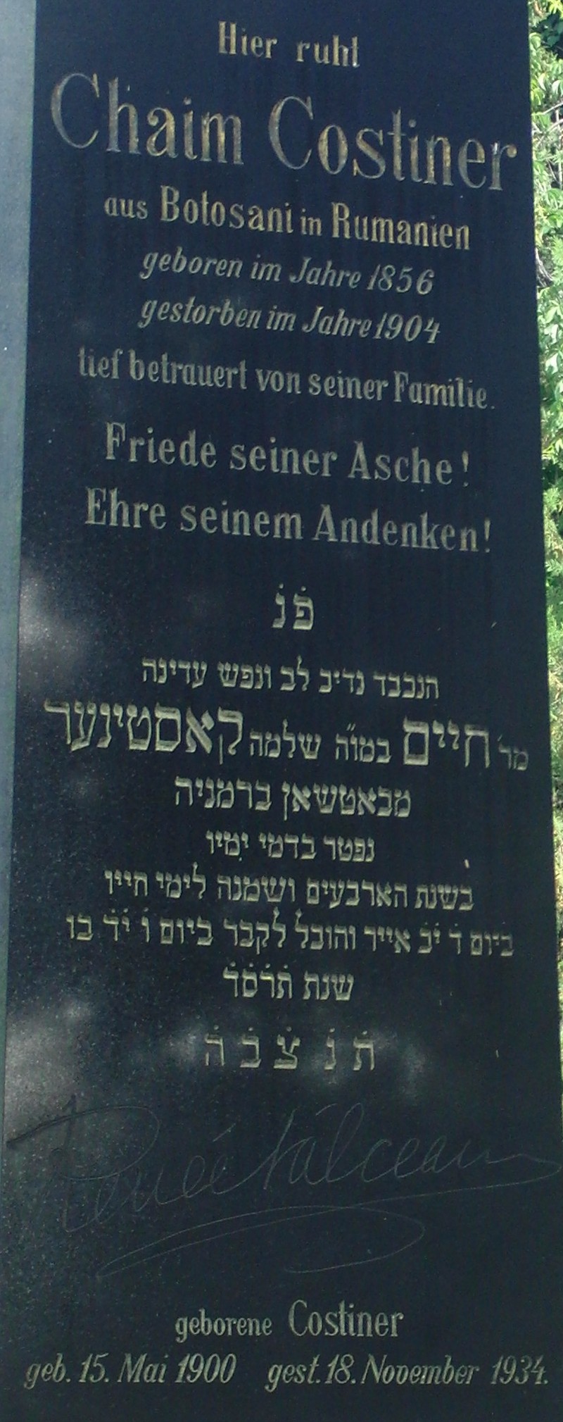 Costiner