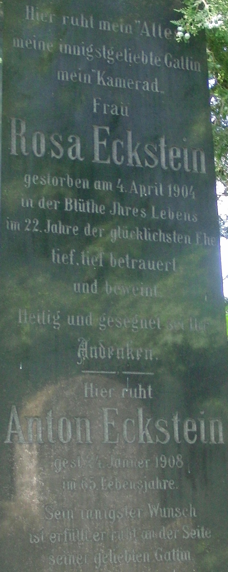 Eckstein
