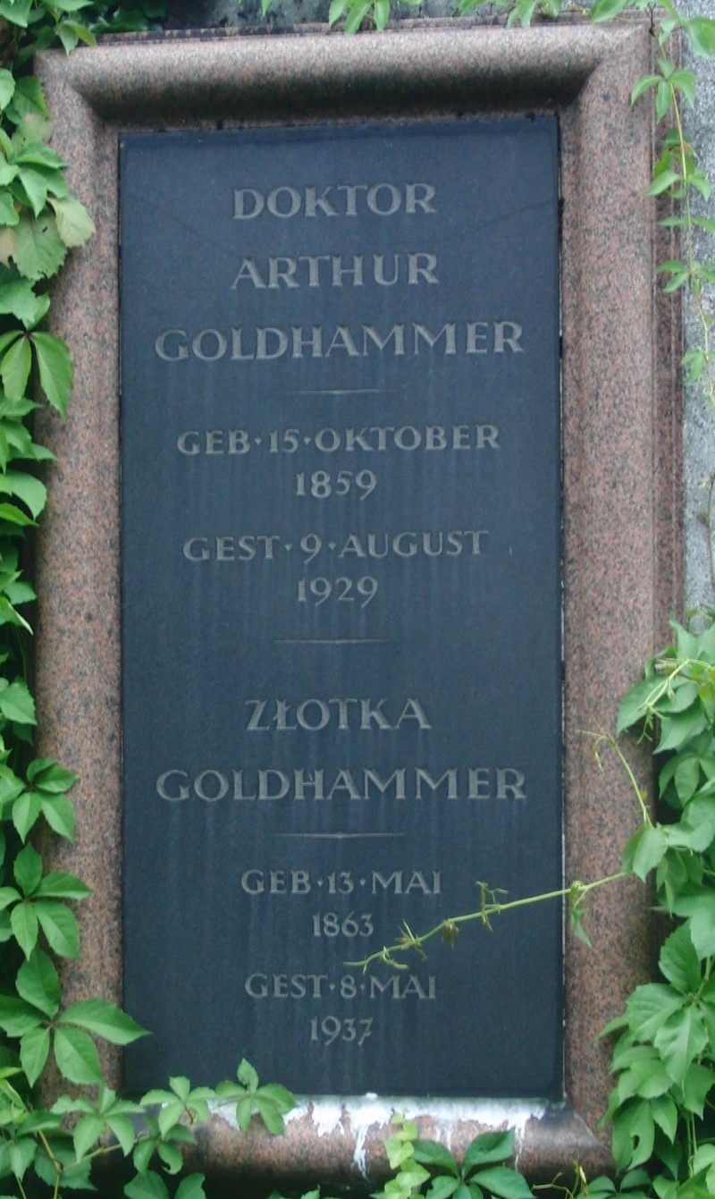 Goldhammer