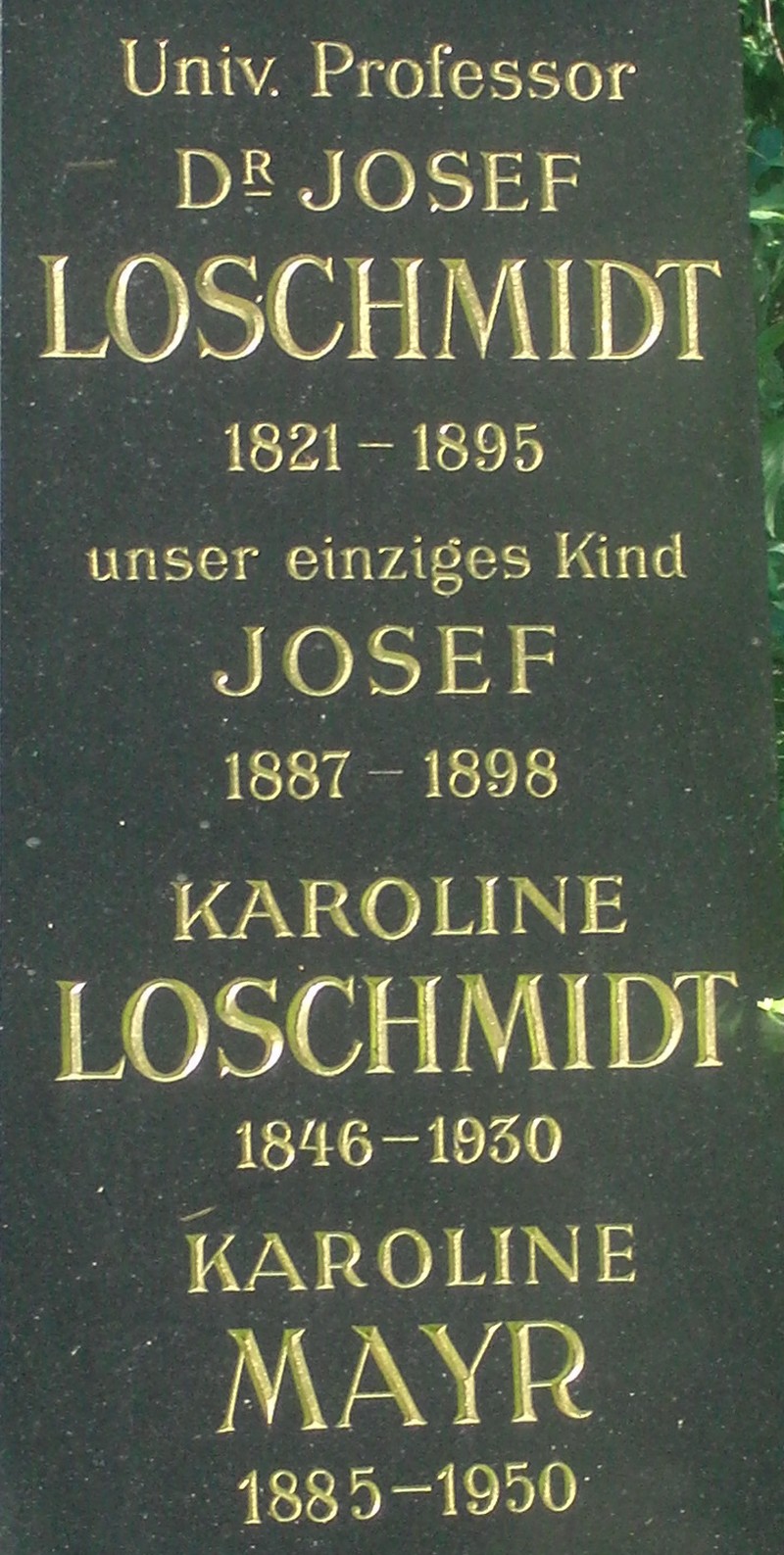 Loschmidt; Mayr