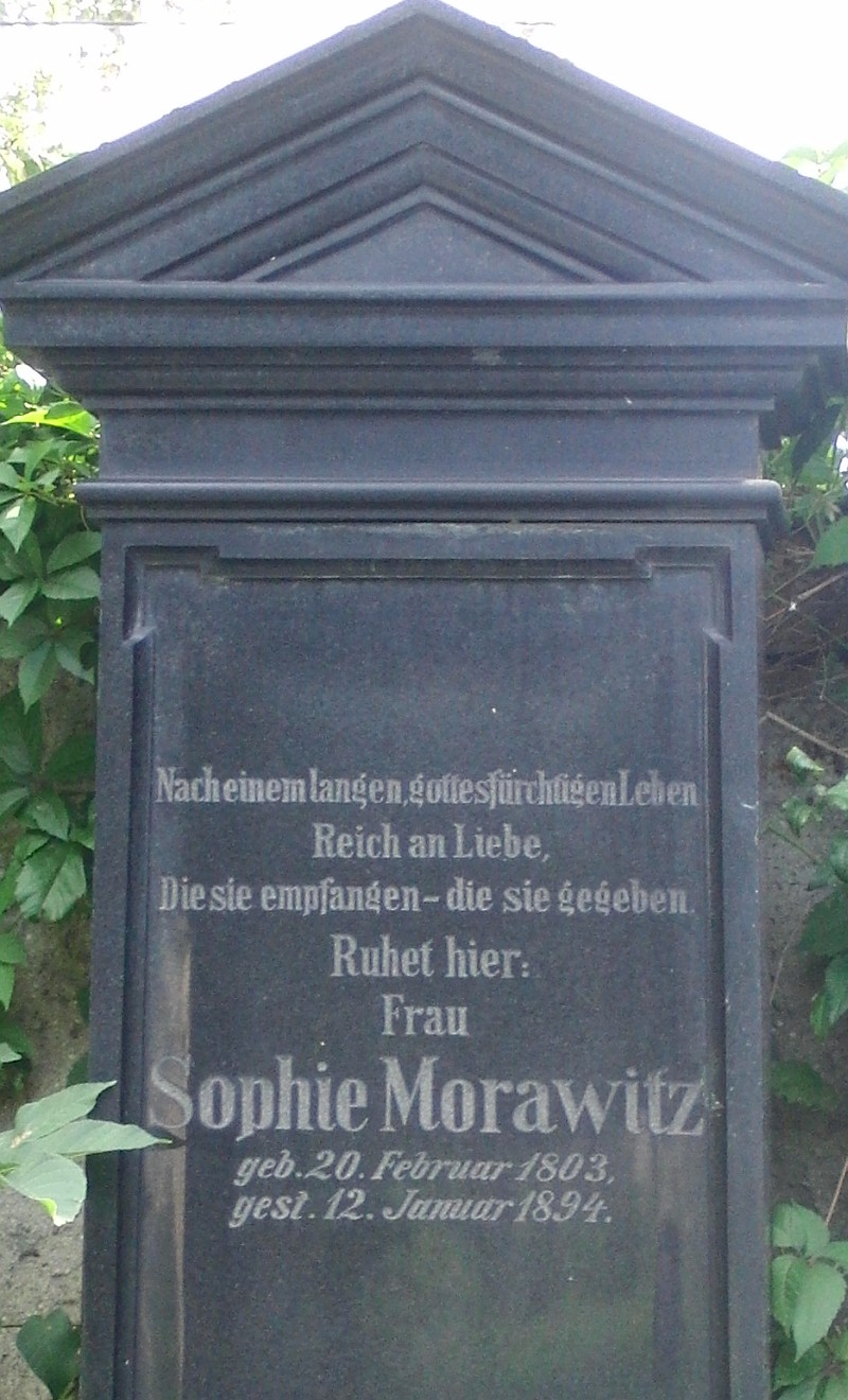 Morawitz